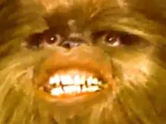 Ubisoft Will Make You Know Star Wars Outlaws Game Has Big Maps Starwars Chewbacka