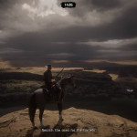 Red Dead Redemption 2 29