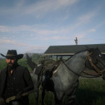 Red Dead Redemption 2 33