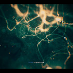 Call of Duty® Black Ops 6 Campaign - Harrow neurons getting there Call of Duty® Black Ops 6 Campaign - Harrow neurons getting there
