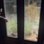 Call of Duty® Black Ops 6 Campaign - Talking Sev by window Call of Duty® Black Ops 6 Campaign - Talking Sev by window