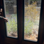 Call of Duty® Black Ops 6 Campaign - Talking Sev by window Call of Duty® Black Ops 6 Campaign - Talking Sev by window